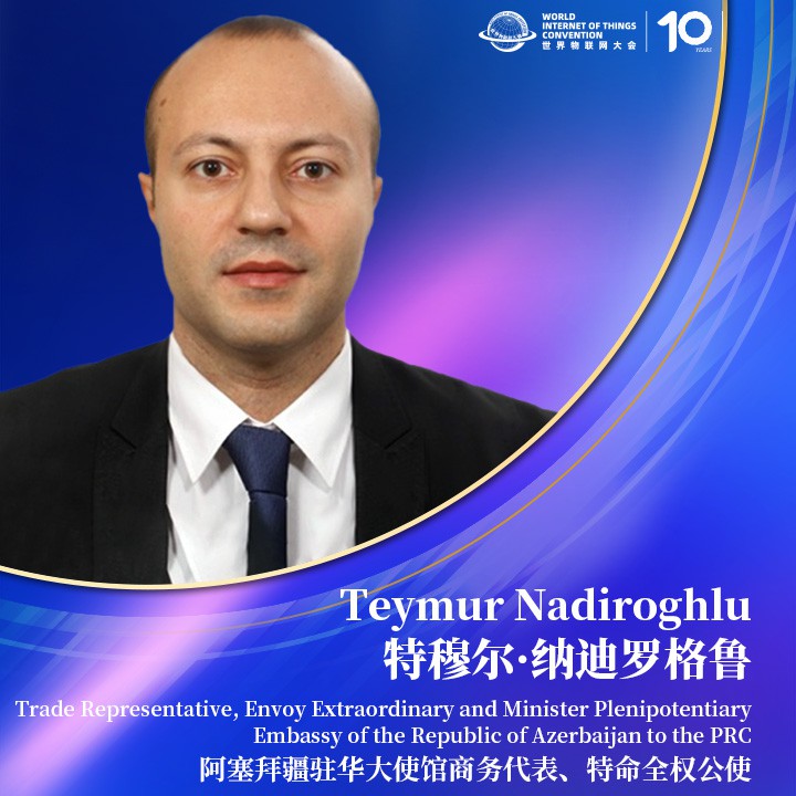 特穆尔·纳迪罗格鲁